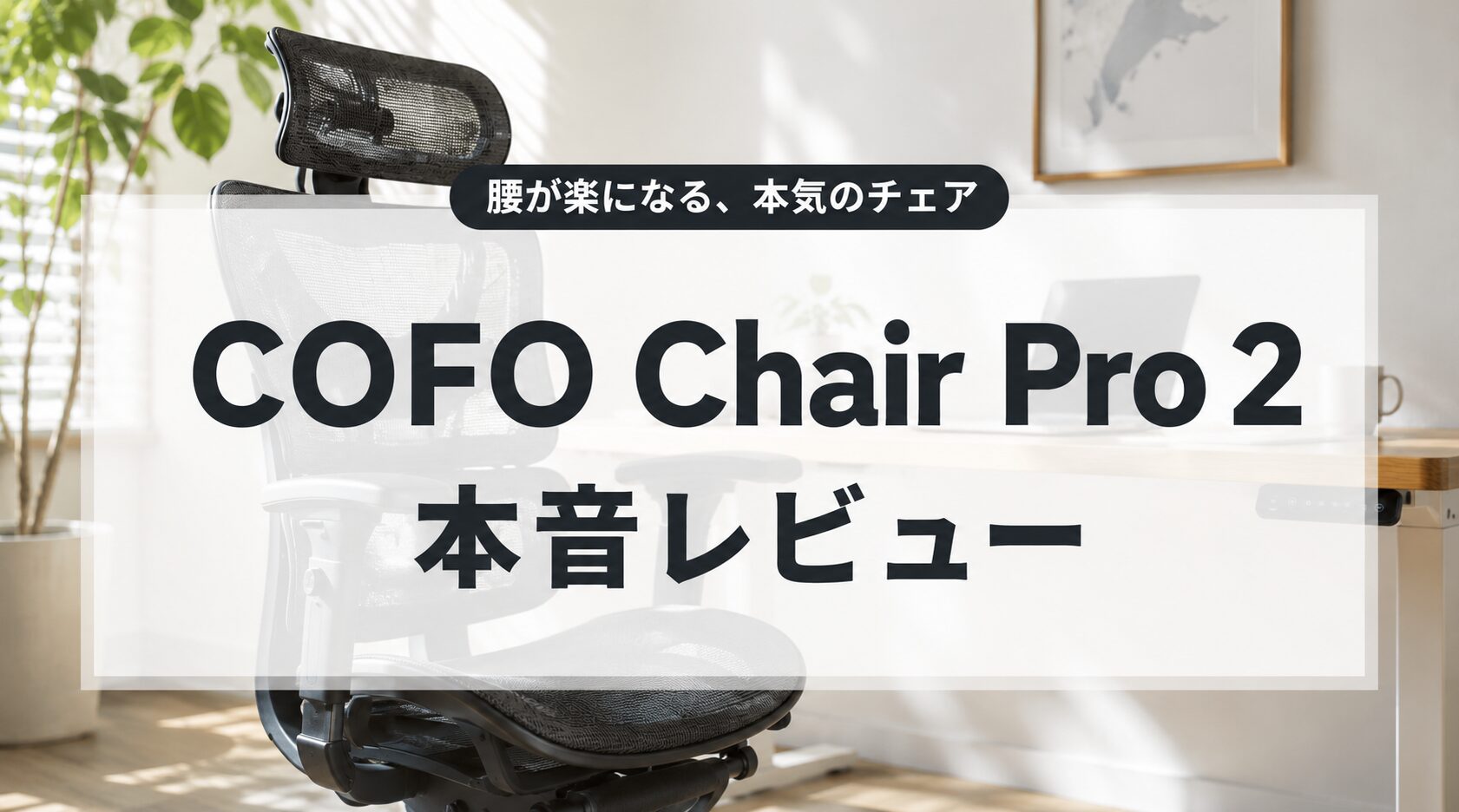 【COFO Chair Pro 2 レビュー】元ジムトレーナーが1年自腹で使った本音