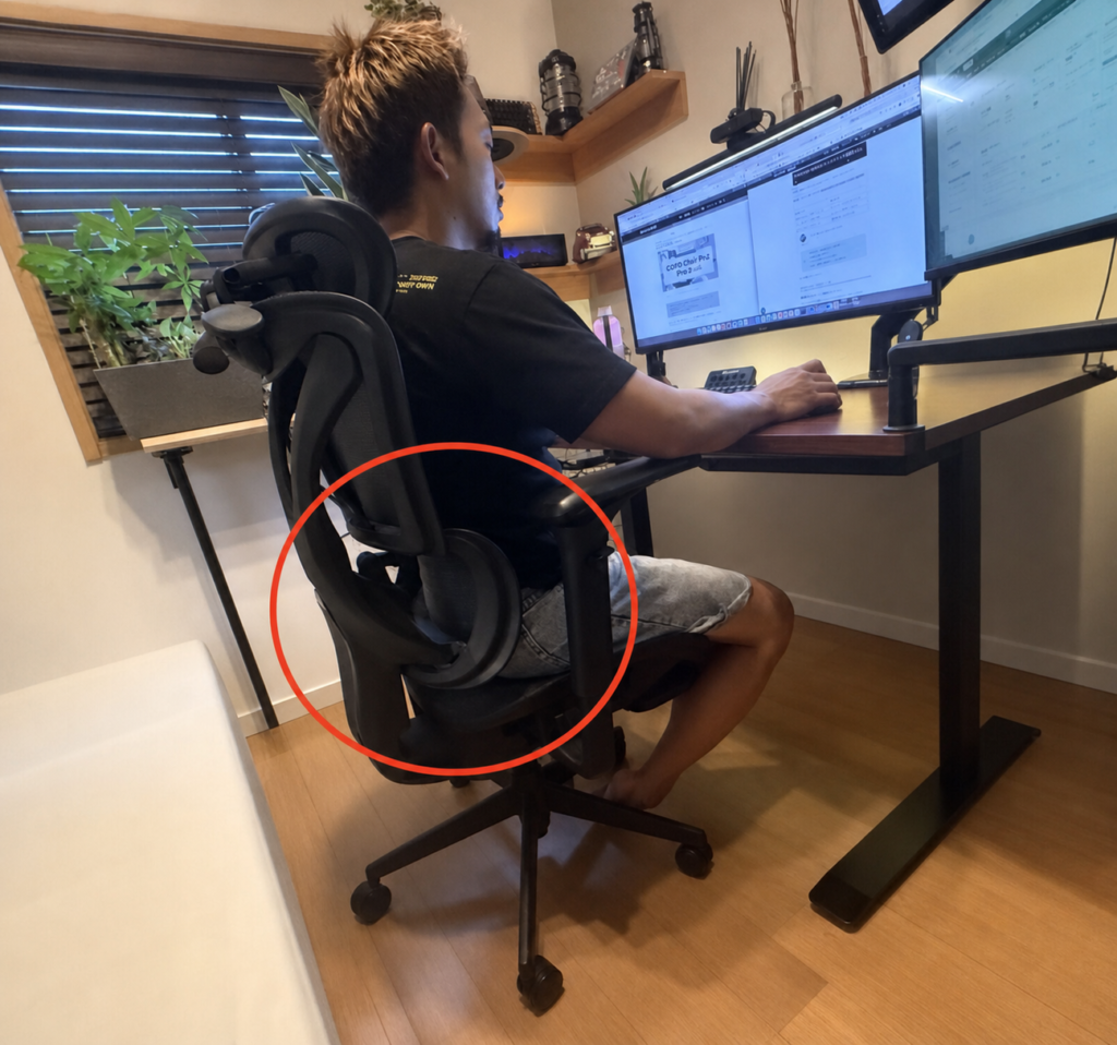 COFO Chair Pro 2のランバーサポート